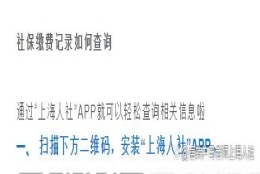 居转户按照社保缴费记录填写经历，哪里可以查近几年的缴费单位？