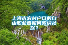 上海市农村户口的自由职业者如何缴纳社保？