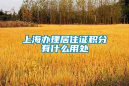 上海办理居住证积分有什么用处