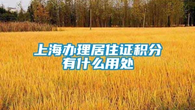 上海办理居住证积分有什么用处