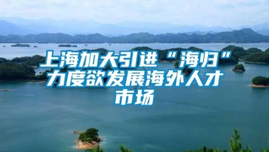 上海加大引进“海归”力度欲发展海外人才市场