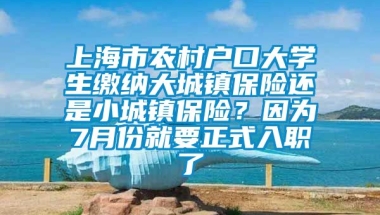 上海市农村户口大学生缴纳大城镇保险还是小城镇保险？因为7月份就要正式入职了