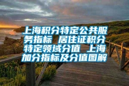 上海积分特定公共服务指标 居住证积分特定领域分值 上海加分指标及分值图解