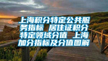 上海积分特定公共服务指标 居住证积分特定领域分值 上海加分指标及分值图解