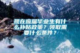 现在应届毕业生有什么补贴政策？领取需要什么条件？