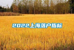 2022上海落户指标