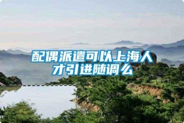 配偶派遣可以上海人才引进随调么