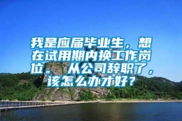 我是应届毕业生，想在试用期内换工作岗位。 从公司辞职了，该怎么办才好？