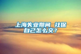 上海失业期间 社保自己怎么交？