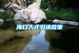 海口人才引进政策