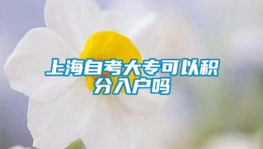 上海自考大专可以积分入户吗