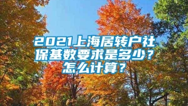 2021上海居转户社保基数要求是多少？怎么计算？