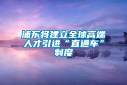 浦东将建立全球高端人才引进“直通车”制度