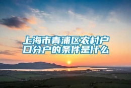 上海市青浦区农村户口分户的条件是什么