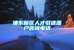 浦东新区人才引进落户咨询电话