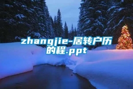 zhangjie-居转户历的程.ppt