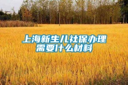 上海新生儿社保办理需要什么材料