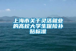 上海市关于灵活就业的高校大学生保险补贴标准