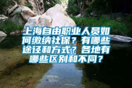 上海自由职业人员如何缴纳社保？有哪些途径和方式？各地有哪些区别和不同？