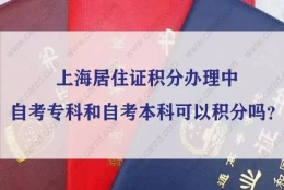 上海居住证积分办理中自考专科和自考本科可以积分吗？