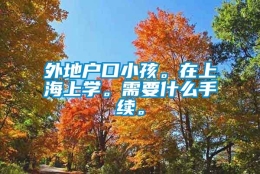 外地户口小孩。在上海上学。需要什么手续。