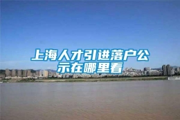 上海人才引进落户公示在哪里看