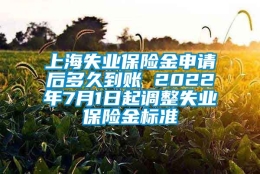 上海失业保险金申请后多久到账 2022年7月1日起调整失业保险金标准