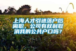 上海人才引进落户后离职，公司有权利取消我的公共户口吗？