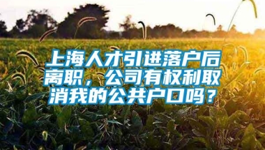 上海人才引进落户后离职，公司有权利取消我的公共户口吗？