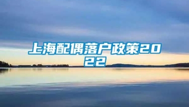 上海配偶落户政策2022