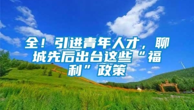 全！引进青年人才，聊城先后出台这些“福利”政策