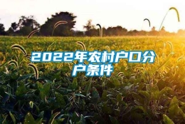 2022年农村户口分户条件