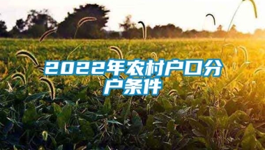 2022年农村户口分户条件