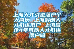 上海人才引进落户个人简历 上海科创人才引进落户 上海国企4年可以人才引进落户吗