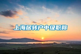 上海居转户中级职称