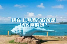 现在上海落户政策是什么样的呀？