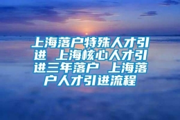 上海落户特殊人才引进 上海核心人才引进三年落户 上海落户人才引进流程