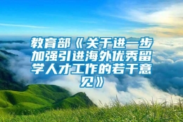 教育部《关于进一步加强引进海外优秀留学人才工作的若干意见》