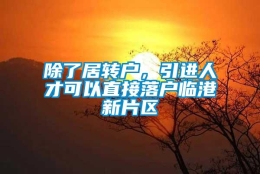 除了居转户，引进人才可以直接落户临港新片区