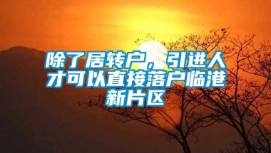 除了居转户，引进人才可以直接落户临港新片区