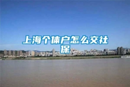 上海个体户怎么交社保