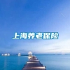 上海养老保险