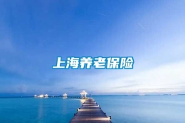 上海养老保险