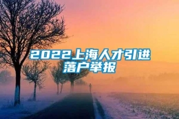 2022上海人才引进落户举报