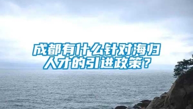 成都有什么针对海归人才的引进政策？