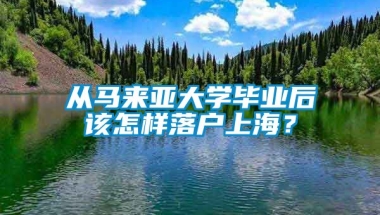 从马来亚大学毕业后该怎样落户上海？