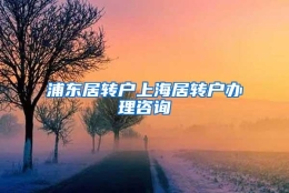 浦东居转户上海居转户办理咨询