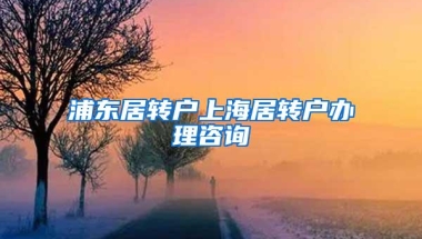 浦东居转户上海居转户办理咨询