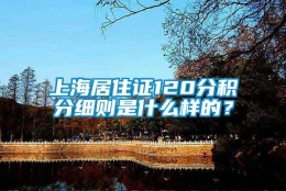 上海居住证120分积分细则是什么样的？