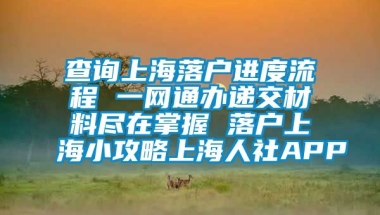 查询上海落户进度流程 一网通办递交材料尽在掌握 落户上海小攻略上海人社APP